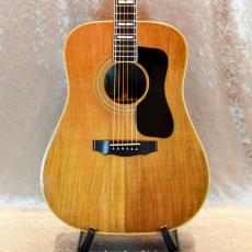Guild D-55