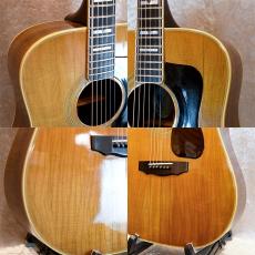 Guild D-55_5