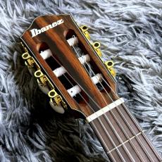 Ibanez FRH10NL-BSF  (Brown Sunburst Flat) 【特価】【レフトハンド】【薄型エレガット】_6
