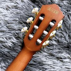 Ibanez FRH10NL-BSF  (Brown Sunburst Flat) 【特価】【レフトハンド】【薄型エレガット】_7