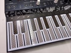 Arturia MICROFREAK グースネックマイク付属【中古】_3