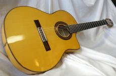 ARIA A-58CWE/M_2