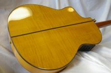 ARIA A-58CWE/M_3