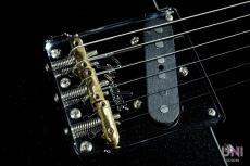 Fender American Professional II Telecaster Dark Night Rosewood / 2022_4