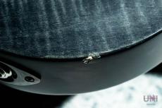 Balaguer Guitars Diablo Standard with Evertune Bridge Satin Trans Black_4