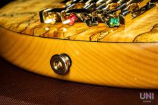 STR GUITARS LS449 Fretless #069_10
