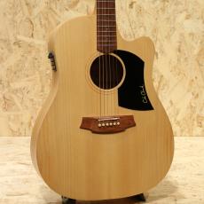 Cole Clark FL1EC-BM 2010's
