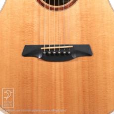 Maestro Guitars Vera PA CSB_10