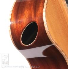 Maestro Guitars Vera PA CSB_12
