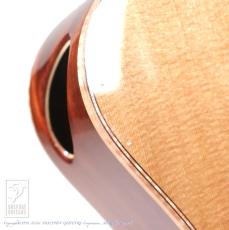 Maestro Guitars Vera PA CSB_14