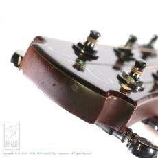 Maestro Guitars Vera PA CSB_15