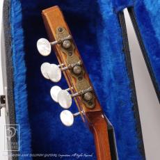 James Goodall BC245 (Nylon Strings)_7
