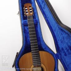 James Goodall BC245 (Nylon Strings)_8