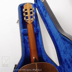 James Goodall BC245 (Nylon Strings)_9
