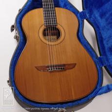 James Goodall BC245 (Nylon Strings)_10