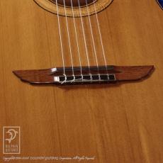 James Goodall BC245 (Nylon Strings)_11