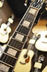 Edwards E-LP-CTM Black_10