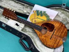 Martin STYLE-AK