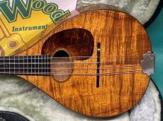 Martin STYLE-AK_2