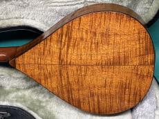 Martin STYLE-AK_3