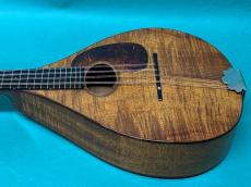 Martin STYLE-AK_4