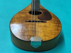 Martin STYLE-AK_11