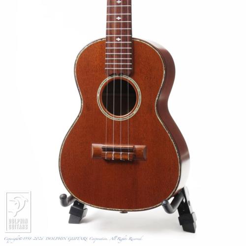 Kawakami Guitars T-1M DX