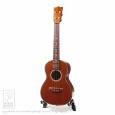 Kawakami Guitars T-1M DX_2