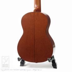 Kawakami Guitars T-1M DX_3