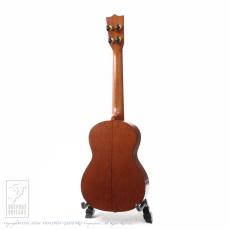 Kawakami Guitars T-1M DX_4