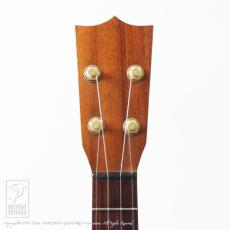 Kawakami Guitars T-1M DX_5