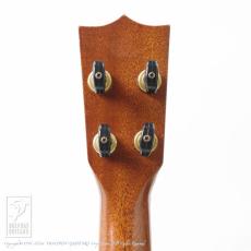 Kawakami Guitars T-1M DX_6