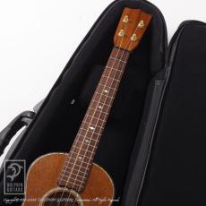 Kawakami Guitars T-1M DX_7