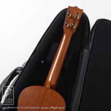 Kawakami Guitars T-1M DX_8