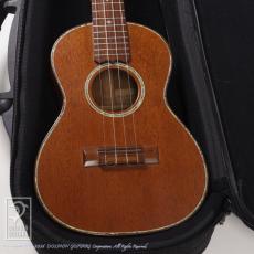 Kawakami Guitars T-1M DX_9