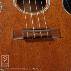 Kawakami Guitars T-1M DX_10