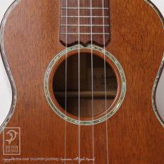 Kawakami Guitars T-1M DX_11