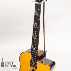 ARIA MM-100/O_6