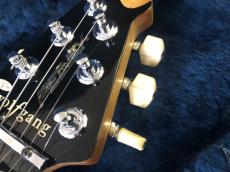 PEAVEY USA / Wolfgang 1997年製　初期　Pat.Pend_10