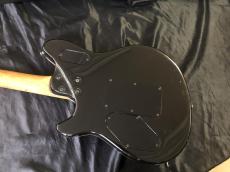 PEAVEY USA / Wolfgang 1997年製　初期　Pat.Pend_13