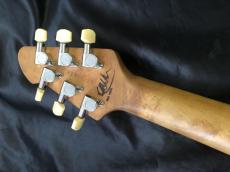 PEAVEY USA / Wolfgang 1997年製　初期　Pat.Pend_16