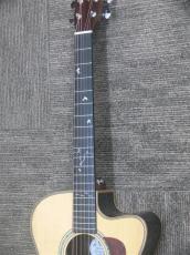 Headway HOC-Kingfisher NA_9