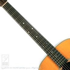 Martin D-28 Rich Robinson _5