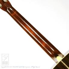 Martin D-28 Rich Robinson _6