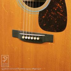 Martin D-28 Rich Robinson _10