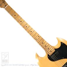 RS Guitarworks STee Blackguard_5