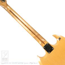 RS Guitarworks STee Blackguard_6