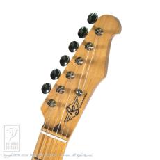 RS Guitarworks STee Blackguard_7