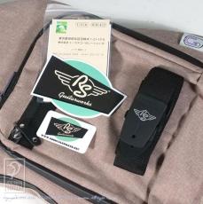 RS Guitarworks STee Blackguard_15
