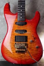 Valley Arts Custom Pro USA '93 / Fire Burst_2